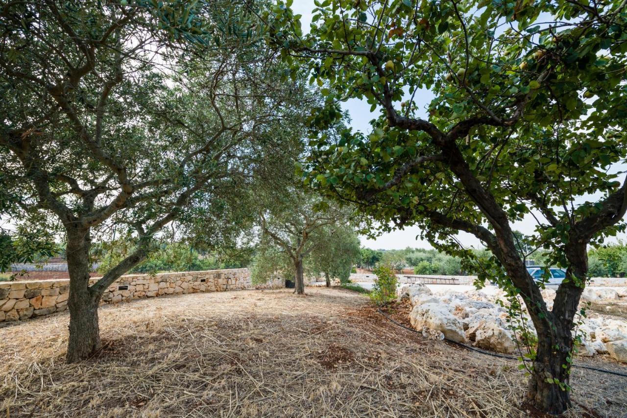 Masseria Mezza Ruota Alberobello Exteriér fotografie