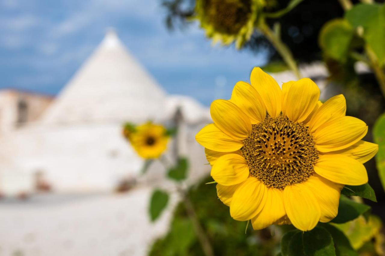 Masseria Mezza Ruota Alberobello Exteriér fotografie